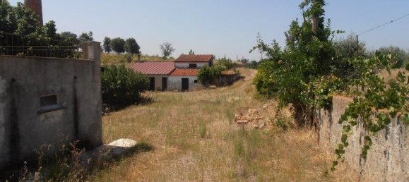 5 bedrooms House in Sarzedas, Portugal No. 77551 8