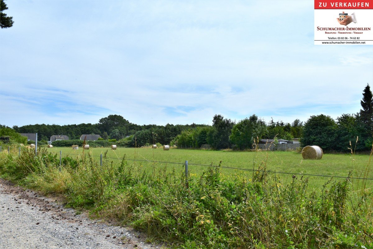 Land in Vorpommern-Rugen, Germany No. 137448