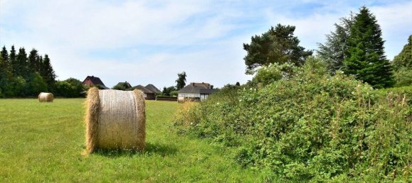  Land in Vorpommern-Rugen, Germany No. 137448 4