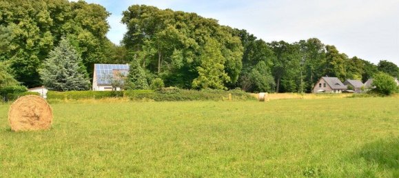  Land in Vorpommern-Rugen, Germany No. 137448 2