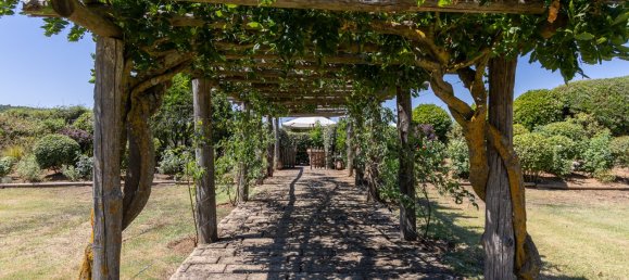 7 غرف نوم منزل في Manciano, Italy رقم 53632 23