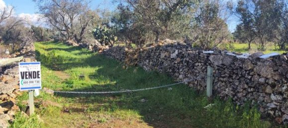 Estudio en Galatone, Italy No. 232638 3