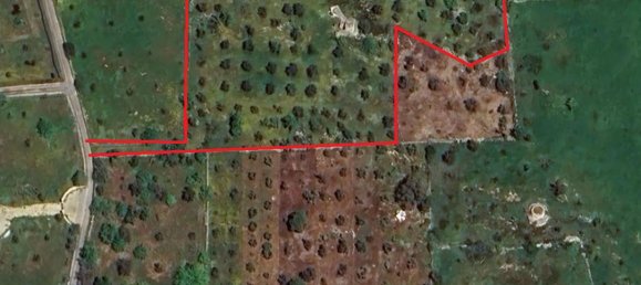 Estudio en Galatone, Italy No. 232638 16