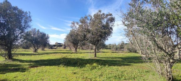 Estudio en Galatone, Italy No. 232638 4