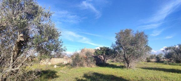 Estudio en Galatone, Italy No. 232638 9