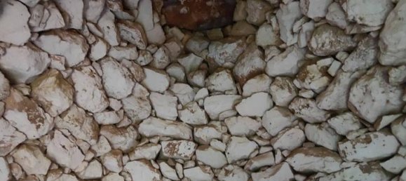 Estudio en Galatone, Italy No. 232638 12