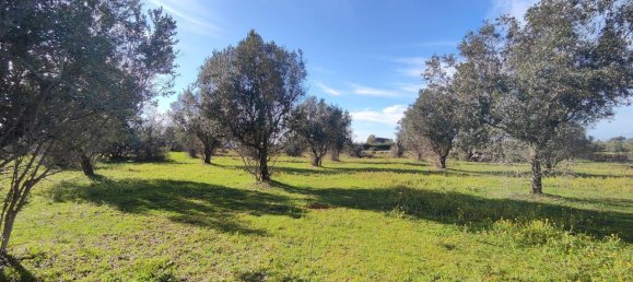 Estudio en Galatone, Italy No. 232638 11