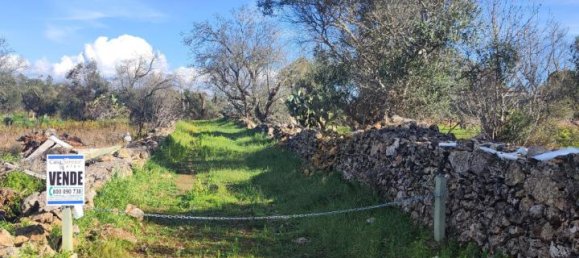 Estudio en Galatone, Italy No. 232638 10