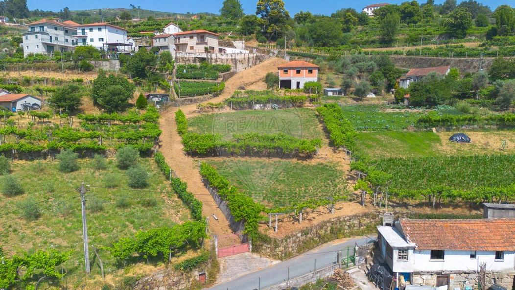 Terrain à Baiao, Portugal 42m² No. 203964