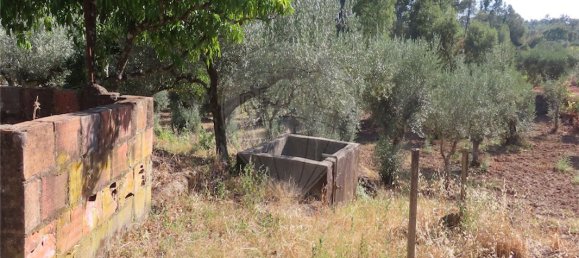 9 غرف نوم منزل في Fundao, Portugal رقم 74683 9