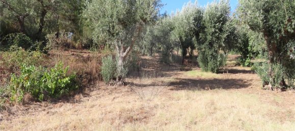 9 غرف نوم منزل في Fundao, Portugal رقم 74683 32