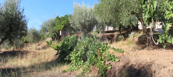 9 غرف نوم منزل في Fundao, Portugal رقم 74683 35