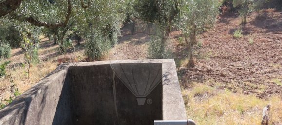 9 غرف نوم منزل في Fundao, Portugal رقم 74683 19