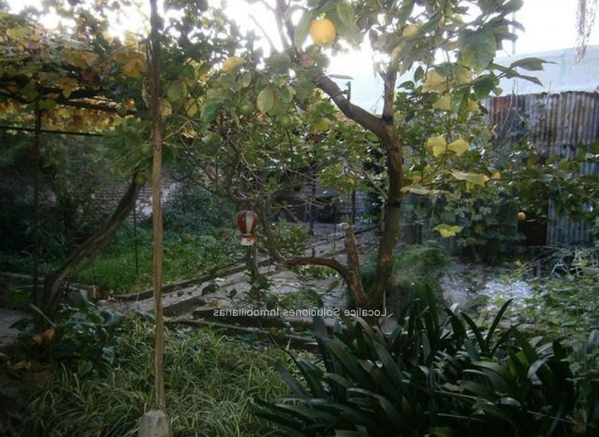 Terreno T3 em Montevideo, Uruguay N.º 14058