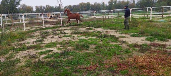  قطعة أرض في Valdetorres de Jarama, Spain رقم 170948 9