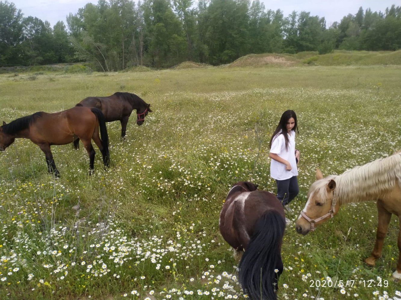  قطعة أرض في Valdetorres de Jarama, Spain رقم 170948