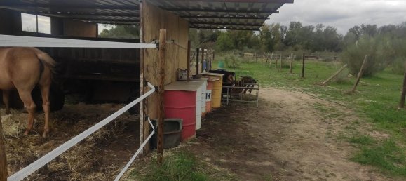  قطعة أرض في Valdetorres de Jarama, Spain رقم 170948 11