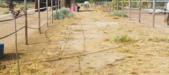  قطعة أرض في Valdetorres de Jarama, Spain رقم 170948 2