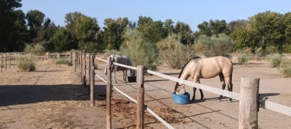  قطعة أرض في Valdetorres de Jarama, Spain رقم 170948 20