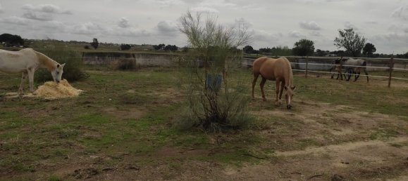  قطعة أرض في Valdetorres de Jarama, Spain رقم 170948 14