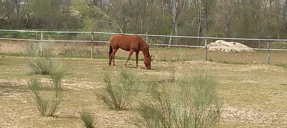  قطعة أرض في Valdetorres de Jarama, Spain رقم 170948 23