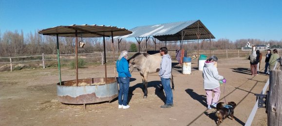  قطعة أرض في Valdetorres de Jarama, Spain رقم 170948 24