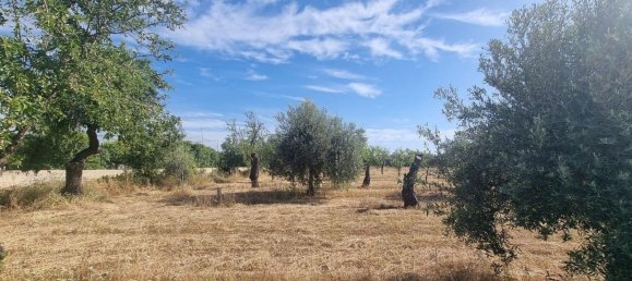 6300m² Land in Noto, Italy No. 103385 3