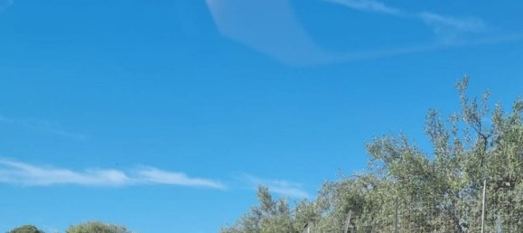 6300m² Land in Noto, Italy No. 103385 4