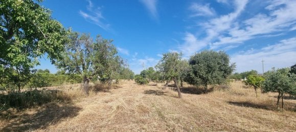 6300m² Land in Noto, Italy No. 103385 10