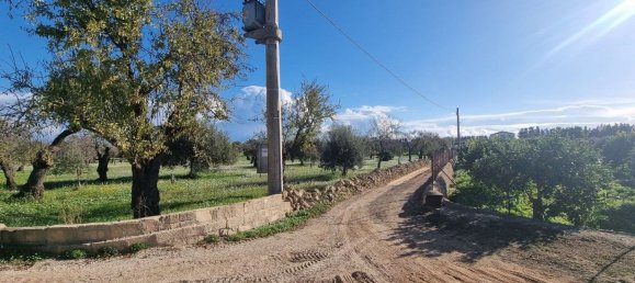 6300m² Land in Noto, Italy No. 103385 25