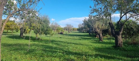 6300m² Land in Noto, Italy No. 103385 19