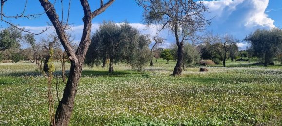 6300m² Land in Noto, Italy No. 103385 22