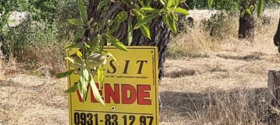 6300m² Land in Noto, Italy No. 103385 12