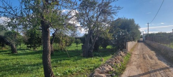 6300m² Land in Noto, Italy No. 103385 20