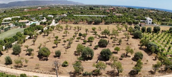 6300m² Land in Noto, Italy No. 103385 17