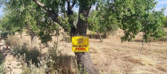 6300m² Land in Noto, Italy No. 103385 31