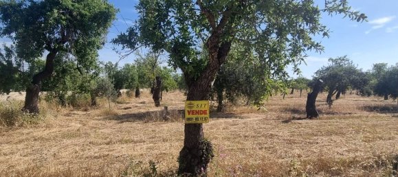6300m² Land in Noto, Italy No. 103385 11