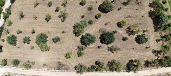 6300m² Land in Noto, Italy No. 103385 14