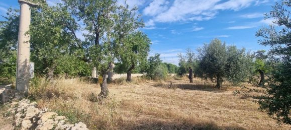 6300m² Land in Noto, Italy No. 103385 8