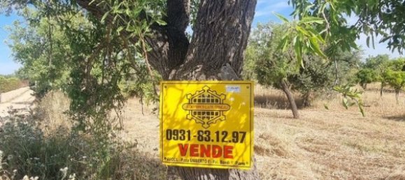 6300m² Land in Noto, Italy No. 103385 28