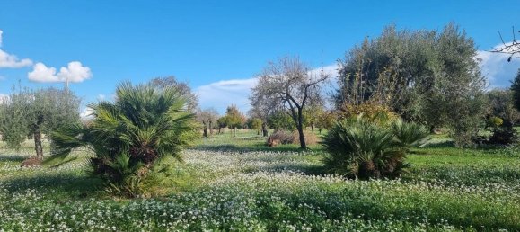 6300m² Land in Noto, Italy No. 103385 21