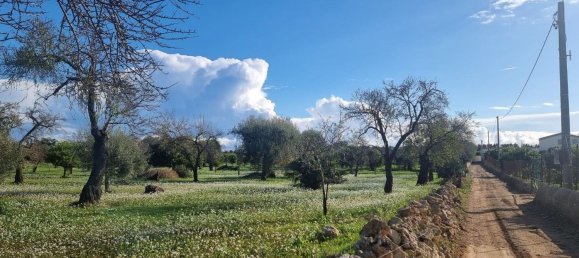 6300m² Land in Noto, Italy No. 103385 23