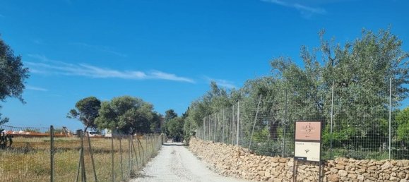 6300m² Land in Noto, Italy No. 103385 29