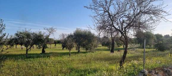 6300m² Land in Noto, Italy No. 103385 27