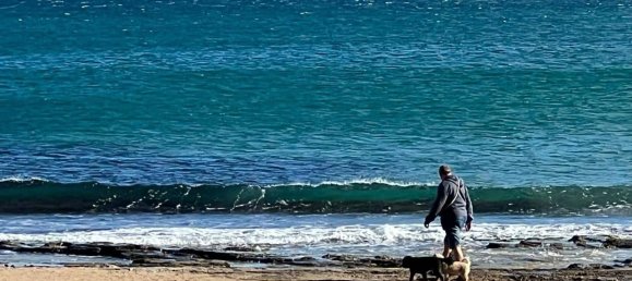 3 Schlafzimmer Haus in Torrevieja, Spain, Nr. 188651 29