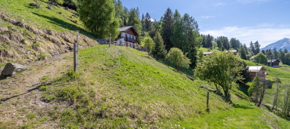 3 Schlafzimmer Haus in Nendaz, Switzerland, Nr. 418 19