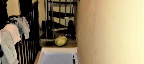 3 rooms Apartment in Maddaloni, Italy No. 263677 9