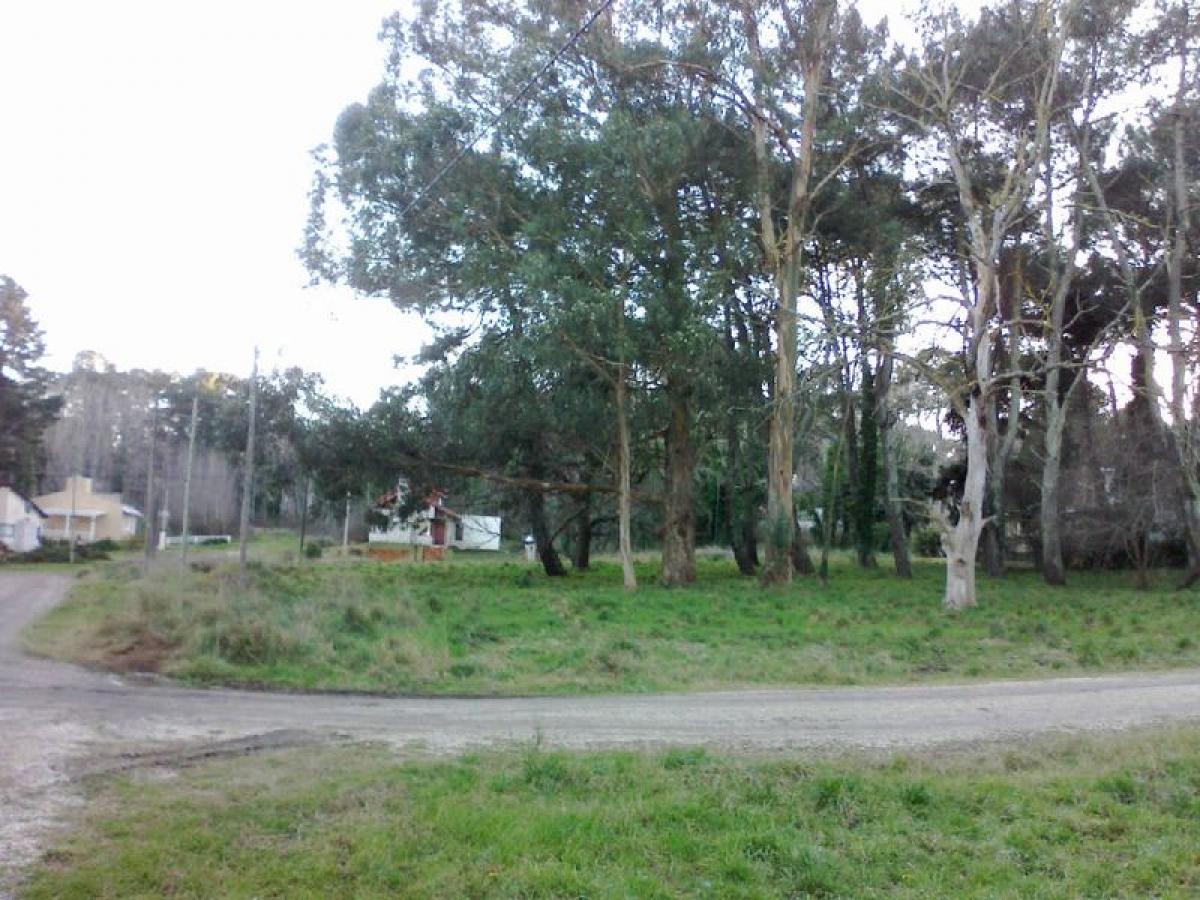 Terreno en Buenos Aires, Argentina No. 118024