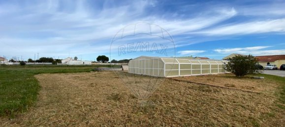 1 bedroom House in Palmela, Portugal No. 88912 4