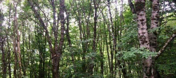 Grundstück in Pievepelago, Italy 10745m², Nr. 122508 7